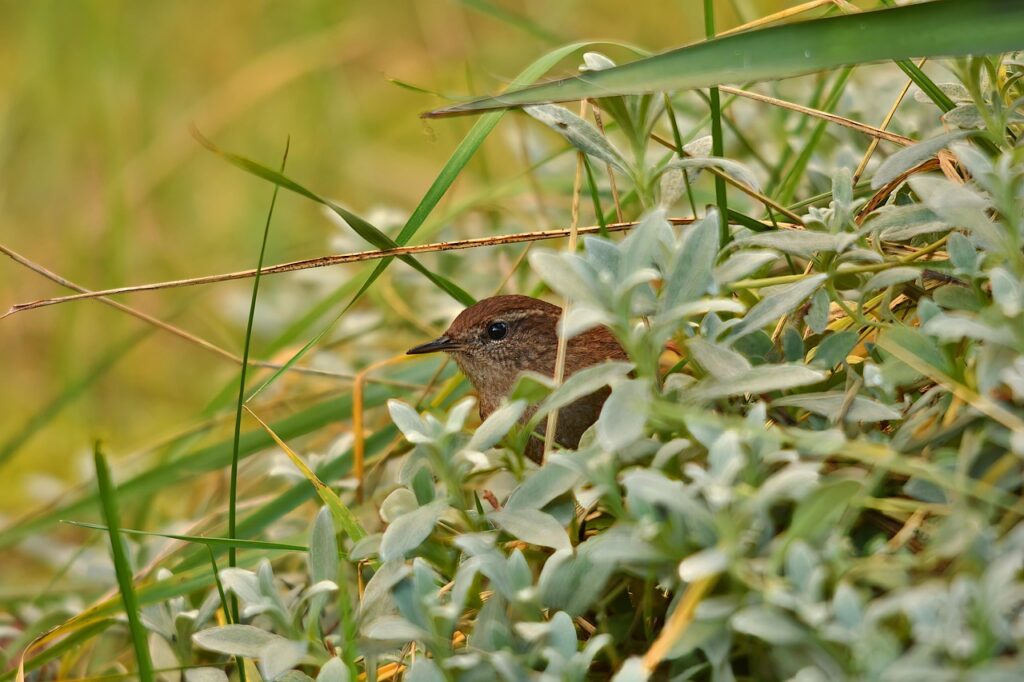 デオクリームの費用対効果はどのくらい？
