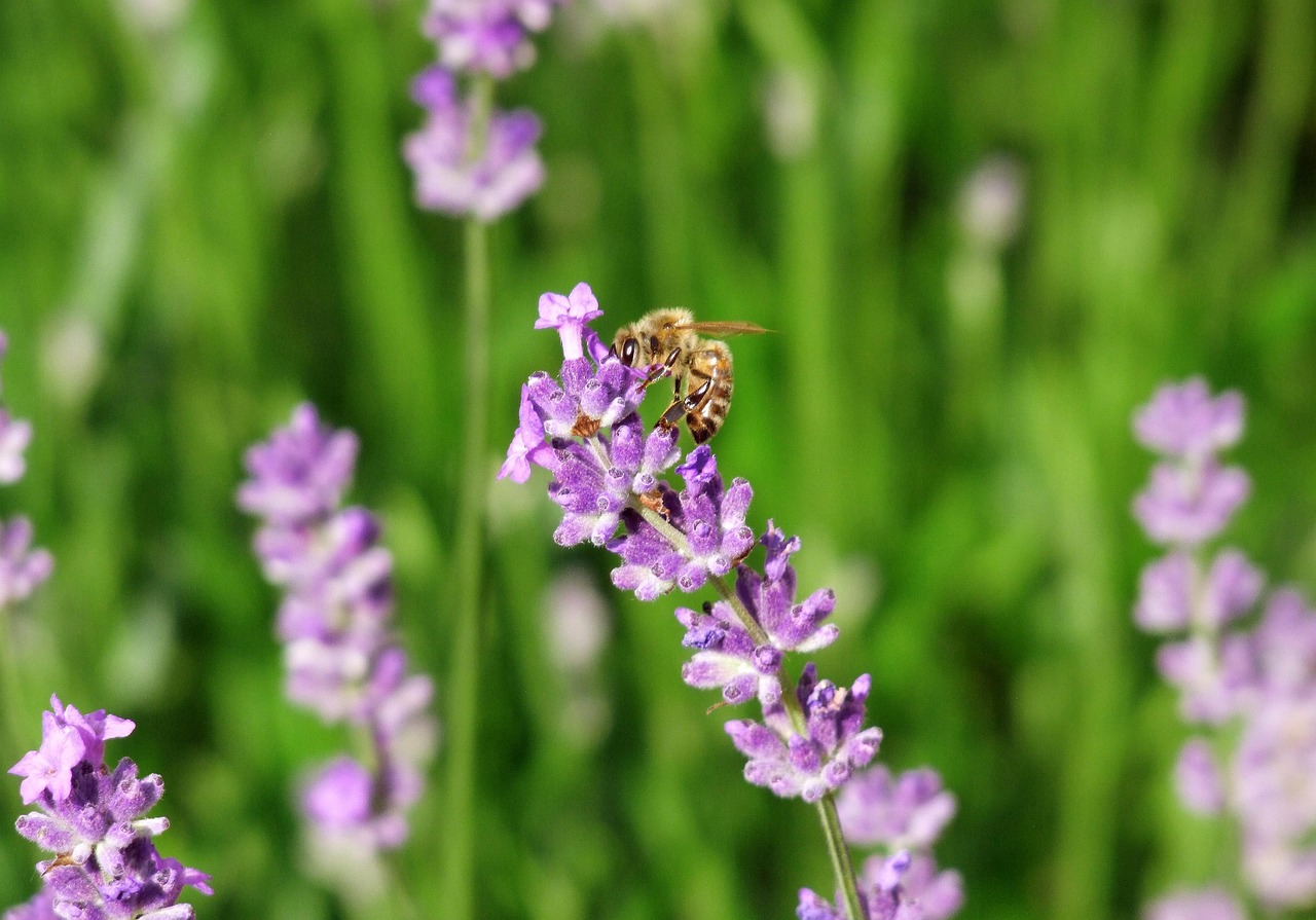 医薬部外品デオクリームの効果は本当にあるのか？