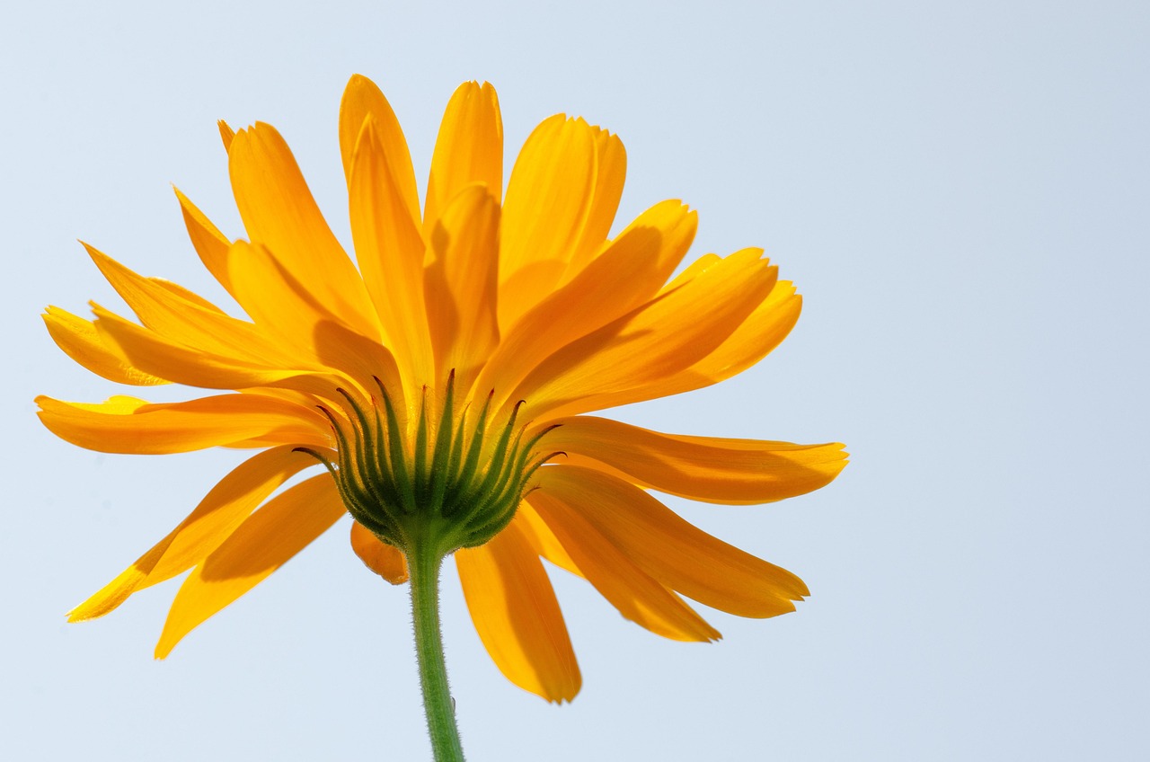 薬用デオクリームの正しい塗り方とは？