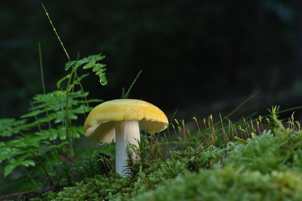 足の臭いの原因と角質菌の対策方法はこれで決まり？